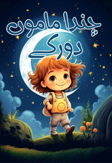 Book cover for Chanda Mamu Door Key