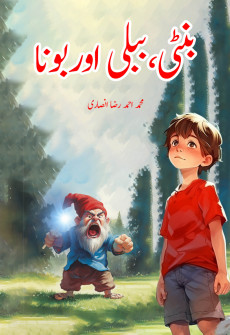 Book cover for Banti, Babli Aur Bona