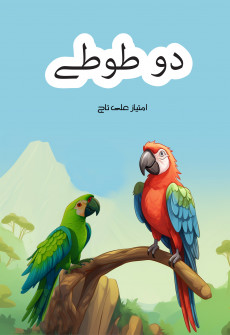 Book cover for Do Tootay