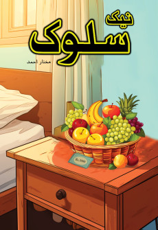 Book cover for Neik Salook