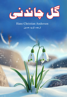 Book cover for Gull Chandni