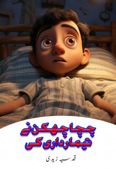 Book cover for Chacha Chakkan Ne Tiimaardaarii Ki