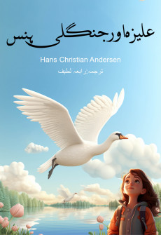 Book cover for Aleeza Aur Jangli Hans