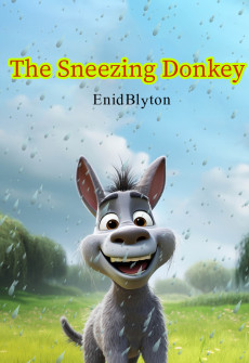 Book cover for The Sneezing Donkey
