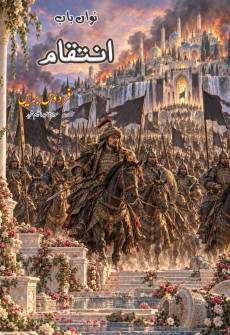 Book cover for Inteqaam