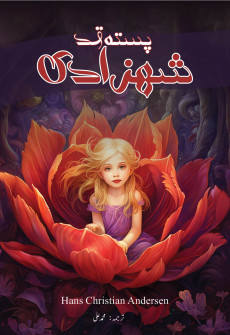 Book cover for Pasta Qad Shehzadi