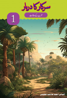 Book cover for Sarkar ka Darbar Part 1