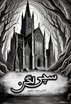 Book cover for Sachi Laggan