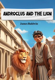 Book cover for Androclus and the Lion