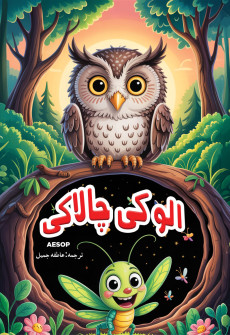 Book cover for Ullo Ki Chalaaki