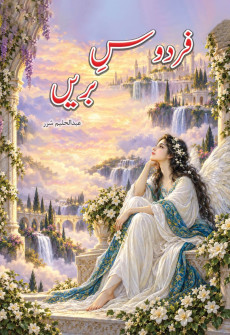 Book cover for Firdous-e-Barin