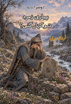 Book cover for Pyari Zumurrud Tu Kahan Gai?