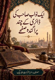 Book cover for Ek Nawab Sahib Ki Diary Ke Chand Paraganda Safhay