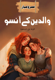 Book cover for Waldain K Ansu