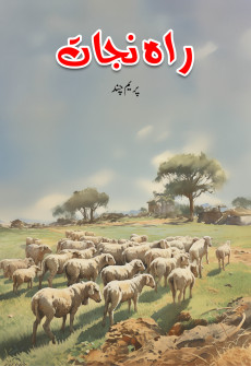 Book cover for Raah e Nijat